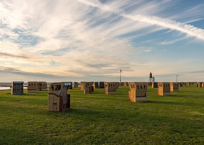 Wittsand 13 دورم نيوفيلد